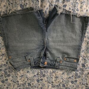 True Religion Shorts